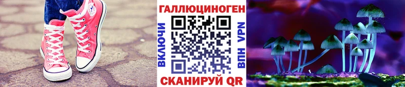 Галлюциногенные грибы прущие грибы  Ардатов 